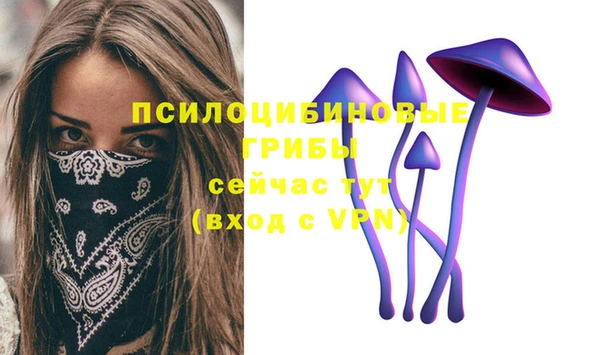 прущая мука Белокуриха