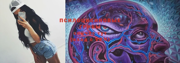 прущая мука Белокуриха