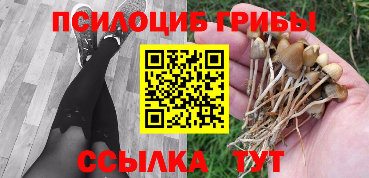 Псилоцибиновые грибы ЛСД Острогожск