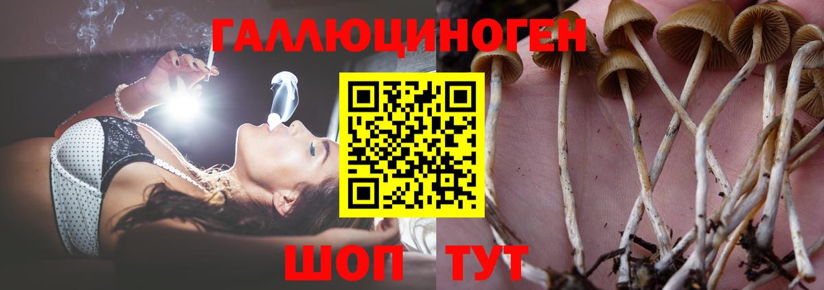 Каннабис  Экстази  Вход с VPN  Метадон  Острогожск  ГАШИШ  МЕФ кристаллы 